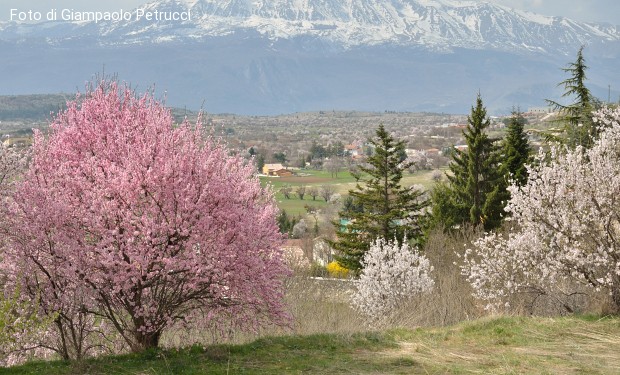 Crisi climatica, sfida spirituale e morale